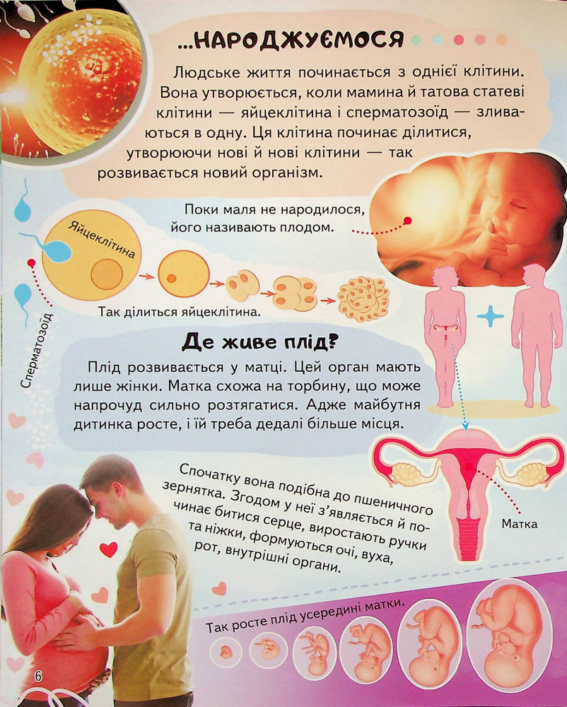 Енциклопедія Тіло людини. Унікальні факти, цікава інформація. Фото 8