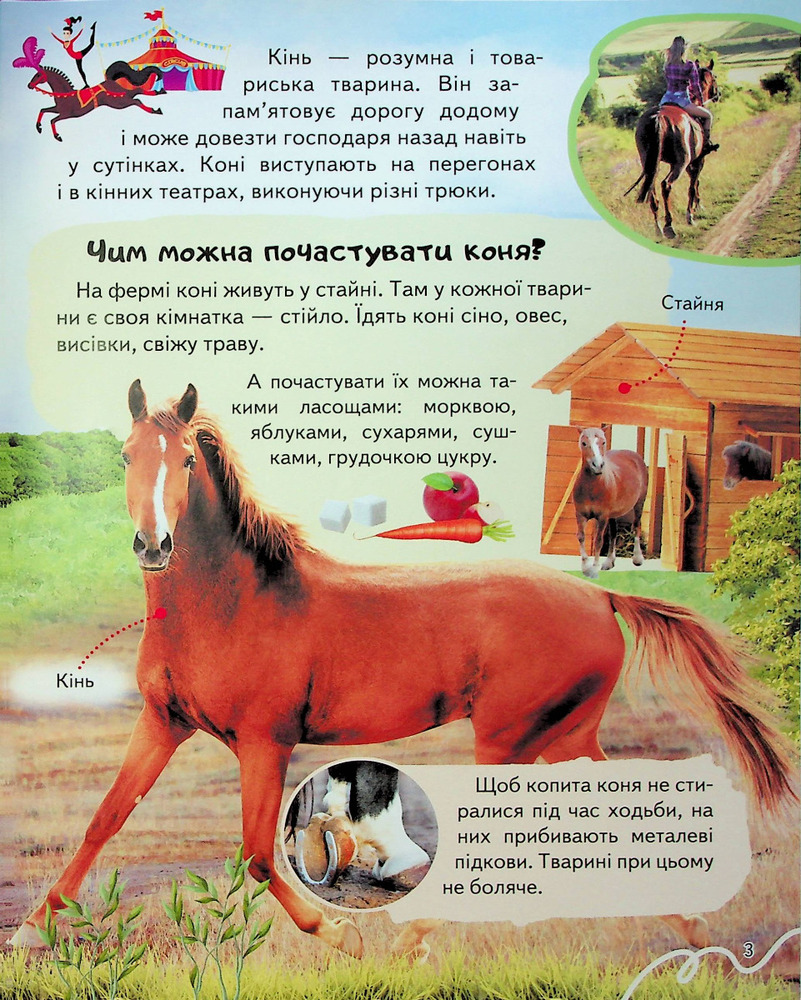 Енциклопедія Ферма. Унікальні факти, цікава інформація. Фото 4