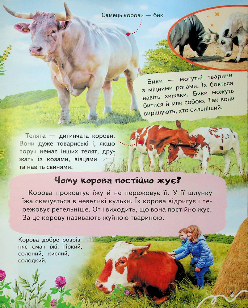 Енциклопедія Ферма. Унікальні факти, цікава інформація. Фото 6