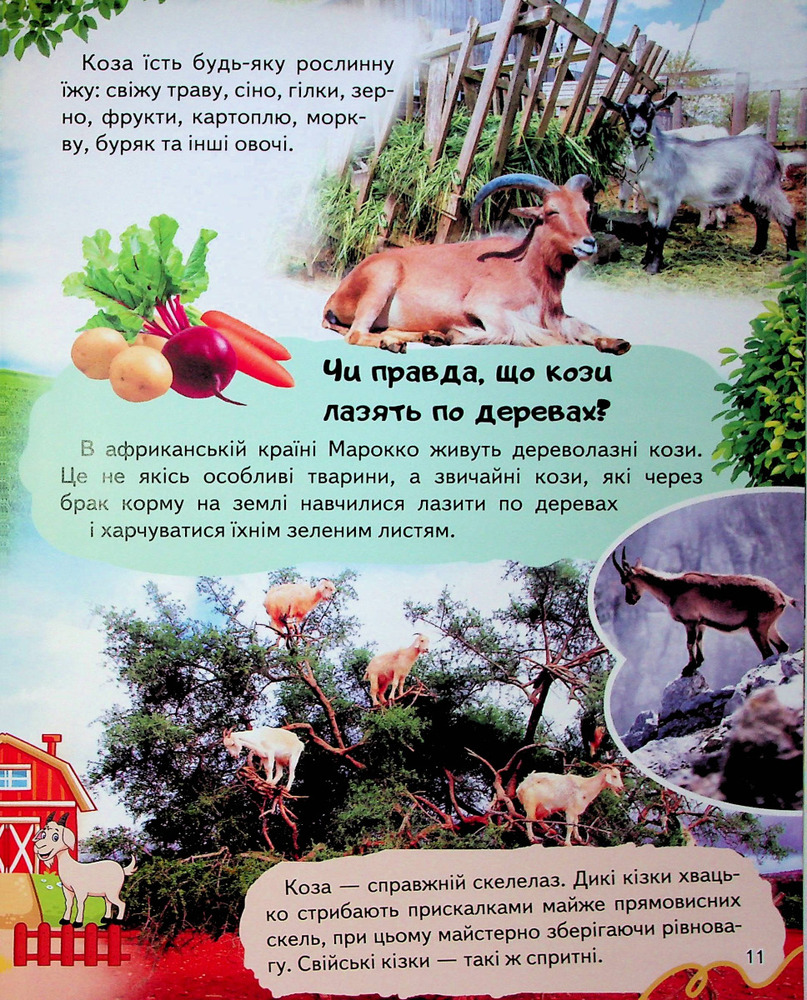 Енциклопедія Ферма. Унікальні факти, цікава інформація. Фото 12