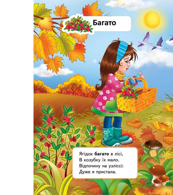 Книга Вчимо протилежності. Фото 6