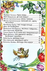 Книга Веселка. Я - частинка України. Фото 5