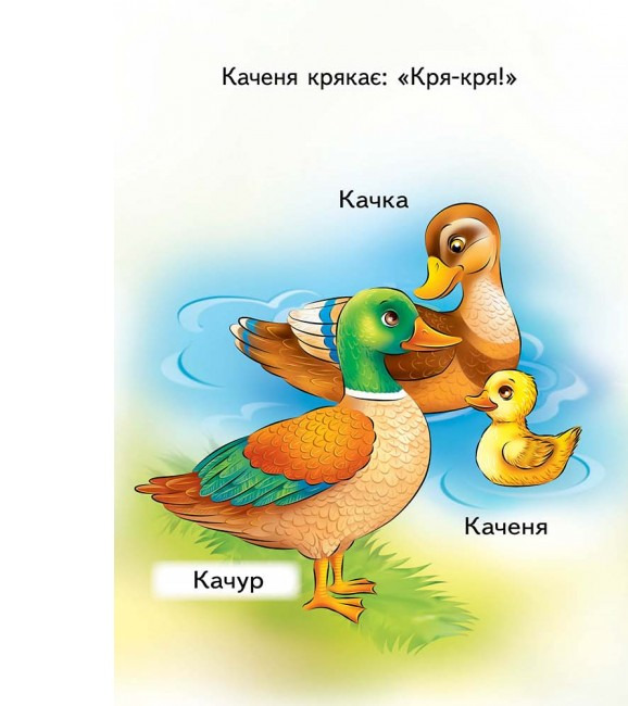 Книга Мами, тата, малюки. Фото 4