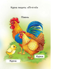 Книга Мами, тата, малюки. Фото 5