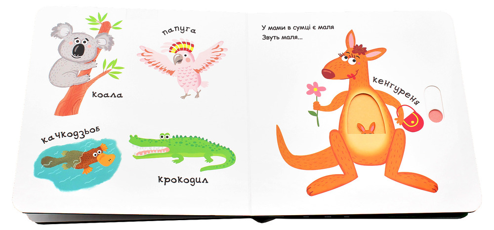 Книга Сторінки цікавинки. Зоопарк. Фото 3