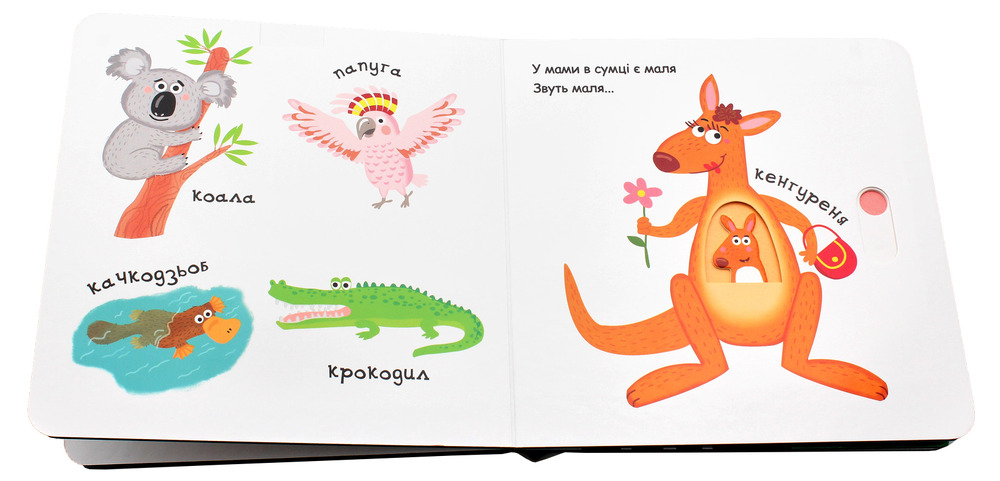 Книга Сторінки цікавинки. Зоопарк. Фото 4