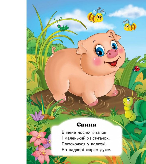 Книга Хто це? Собака. Фото 4