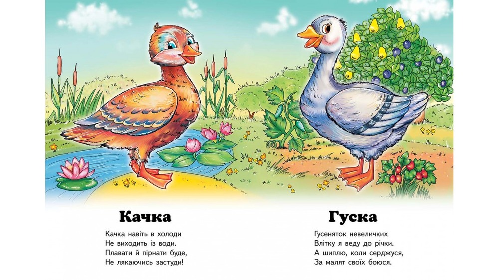 Книга Хто це? Півник. Фото 3