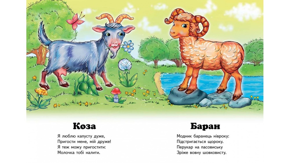 Книга Хто це? Півник. Фото 4