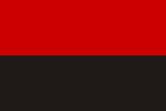 Прапор УПА 140x90 см нейлон 782015