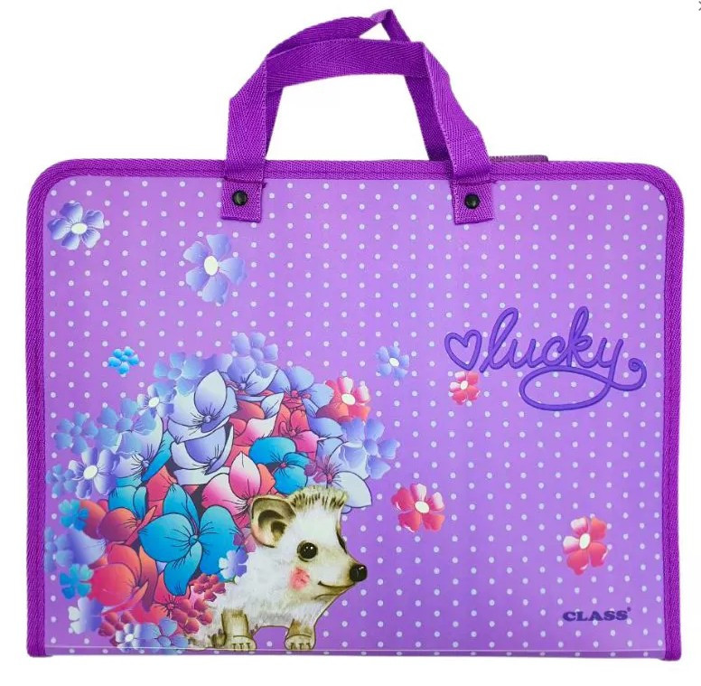 Папка-портфель на блискавці з тканинними ручками Class A4 1 відділення Lucky 5631-23C