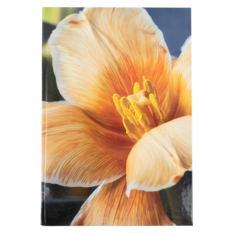 Книга записна Axent Flora 8423-27-A, А4, 192 аркуша, клітинка, жовта