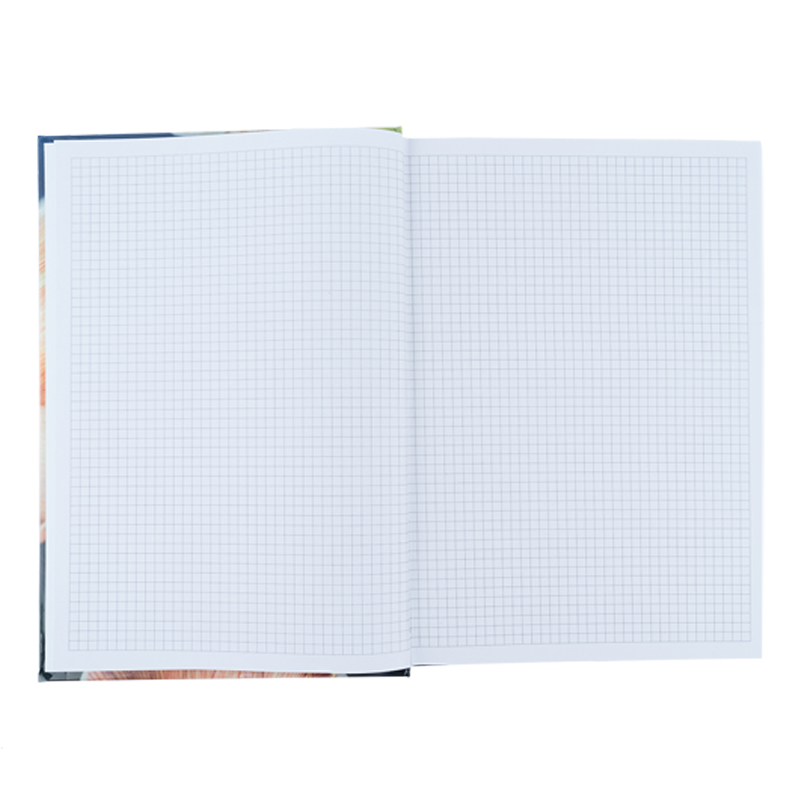 Книга записна Axent Flora 8423-27-A, А4, 192 аркуша, клітинка, жовта. Фото 3