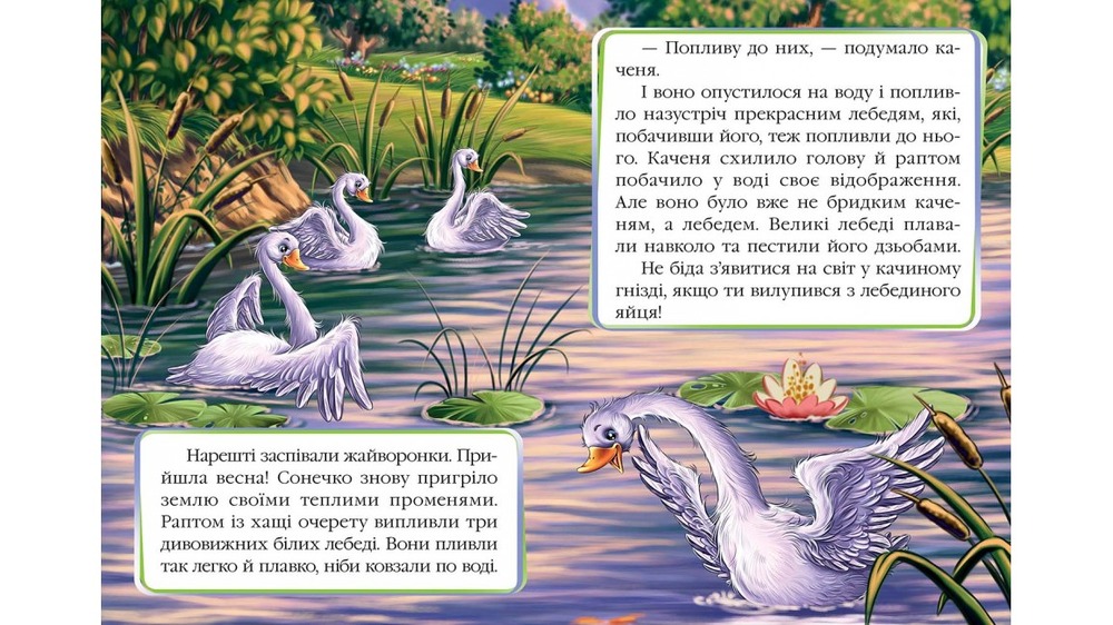 Книга Гидке каченя. Фото 4