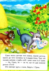 Книга Сірко. Фото 6