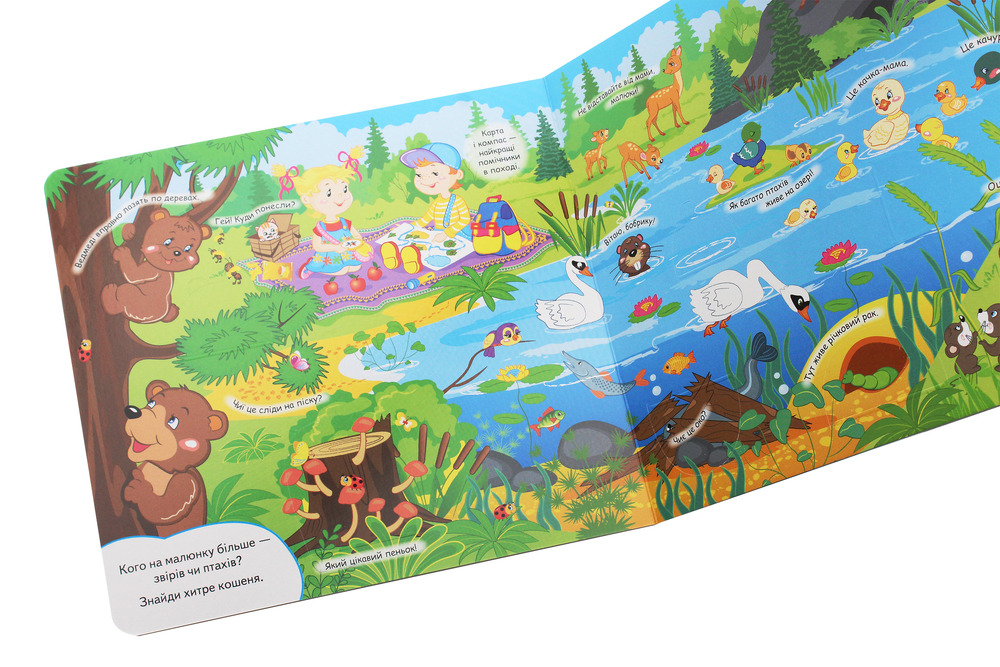 Книжка з віконцями. У лісі . Фото 6