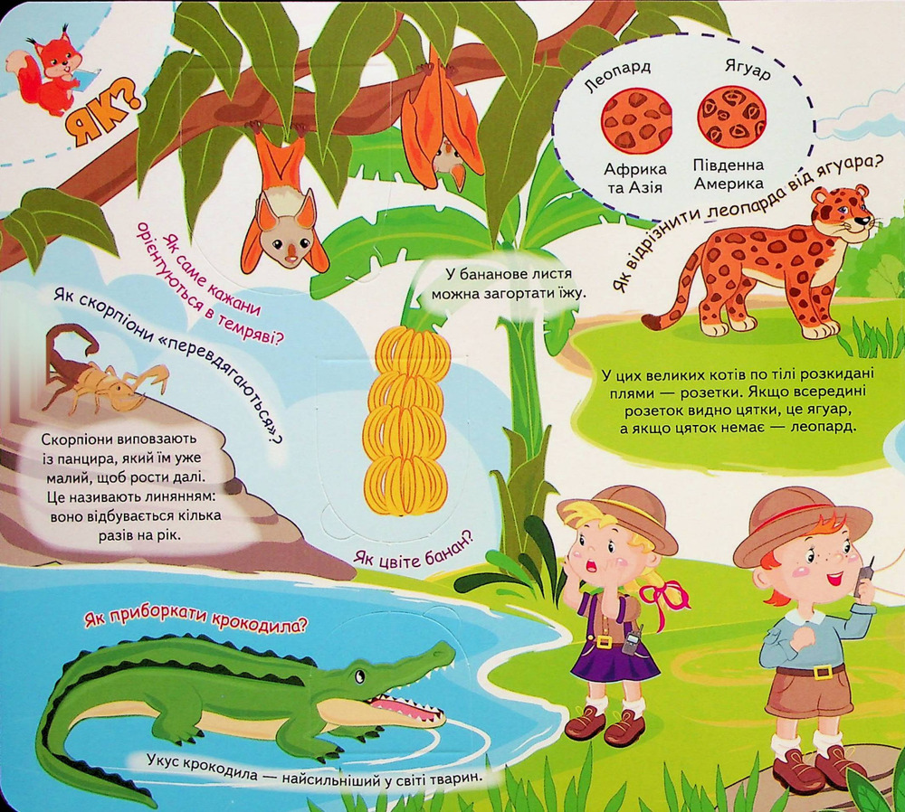 Книжка з віконцями. Чомусики . Фото 5