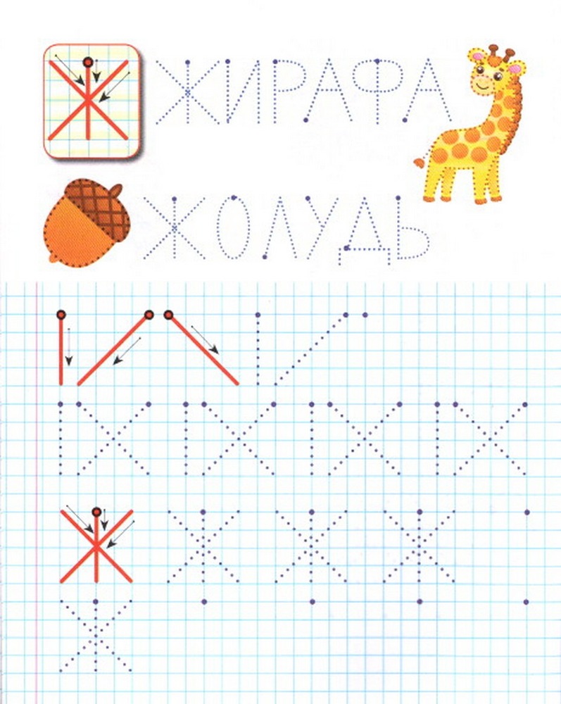 Книга Прописи. Друковані літери. Фото 2