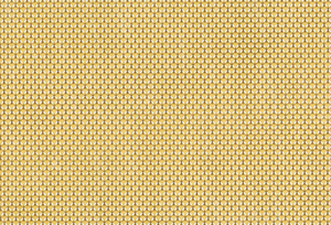 Час Майстрів Бджоли - Пйотр Соха. Фото 31