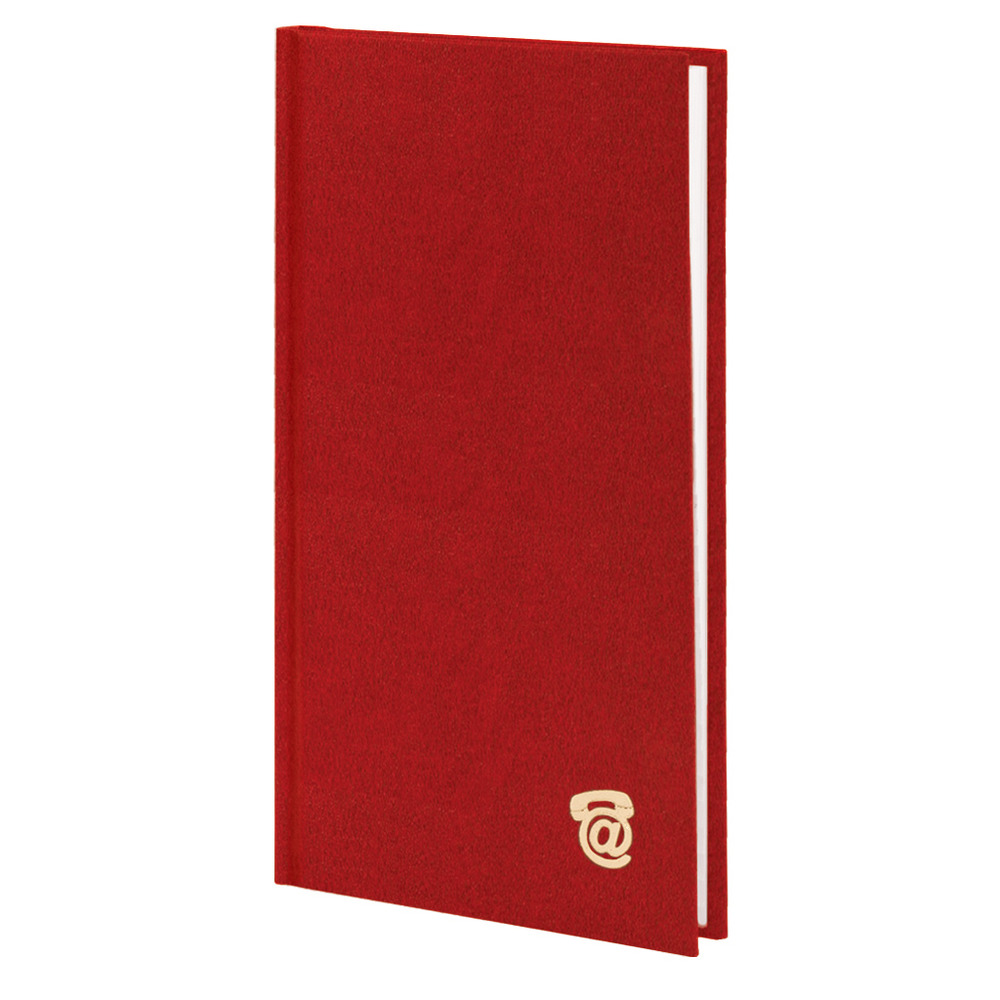 Алфавітна книга Поліграфіст 100x190, 80 аркушів, клітинка, обкладинка баладек 210. Фото 2