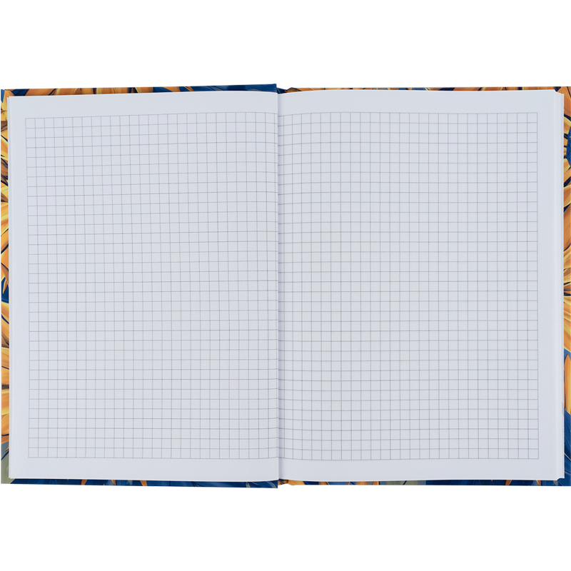 Книга записна Axent UA Ї 8455-3-A, А5, 96 аркушів, клітинка, тверда обкладинка. Фото 4