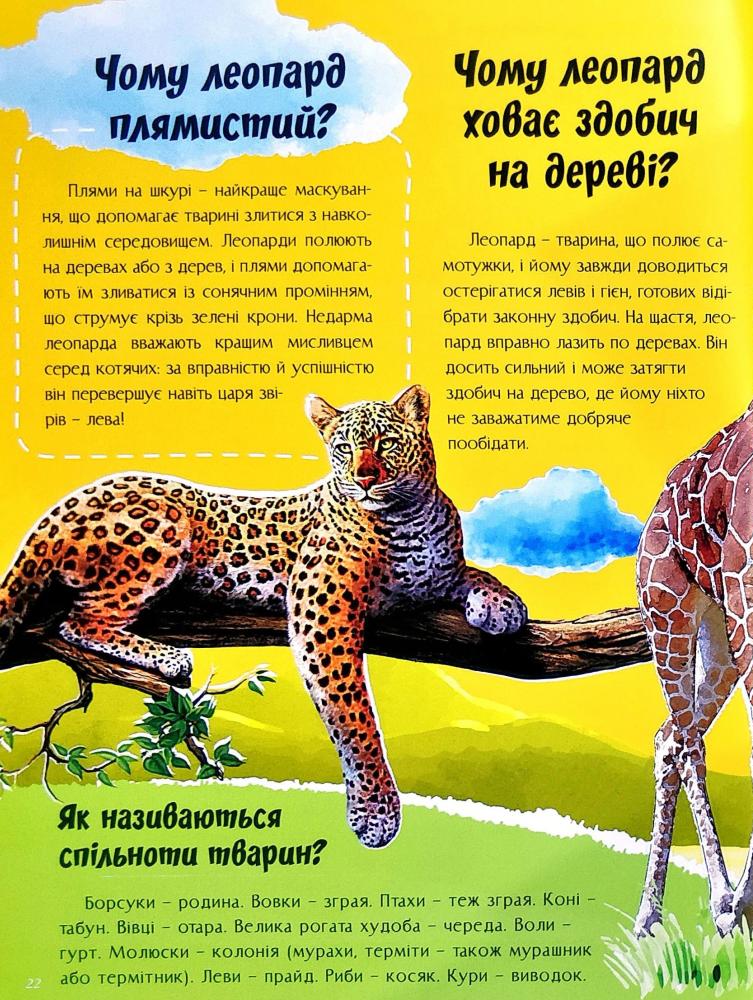 Книга Про все на світі. Відповіді чомучкам. Фото 7