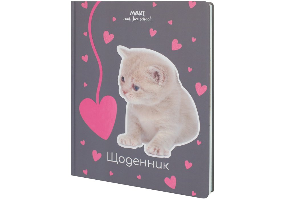 Щоденник шкільний CoolForSchool 165х210 мм, 48 аркушів, тверда обкладинка MX29932-41