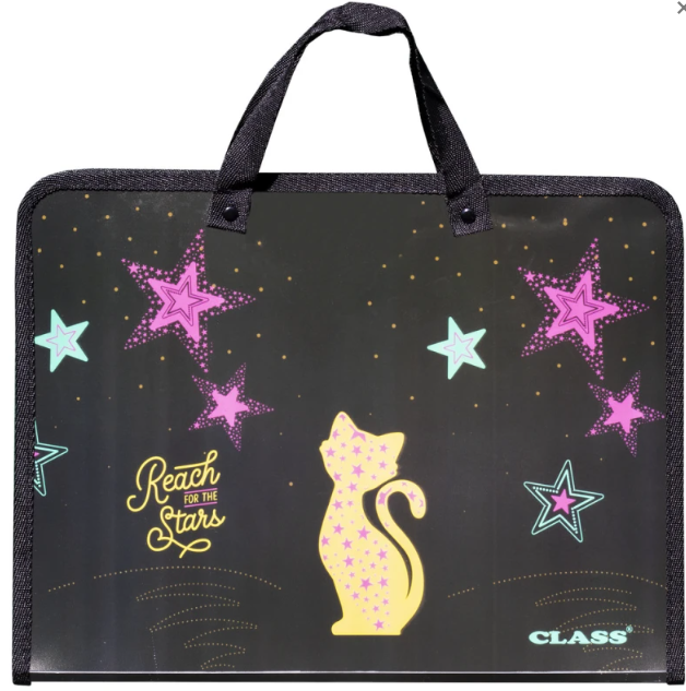 Папка-портфель на блискавці з тканинними ручками Class A4 1 відділення Star Cat 5635-24C
