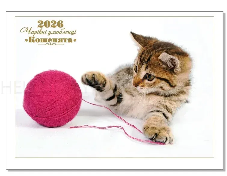 Календар 2026 Колаж, настінний перекидний 330х480 мм Чарівні улюбленці Кошенята