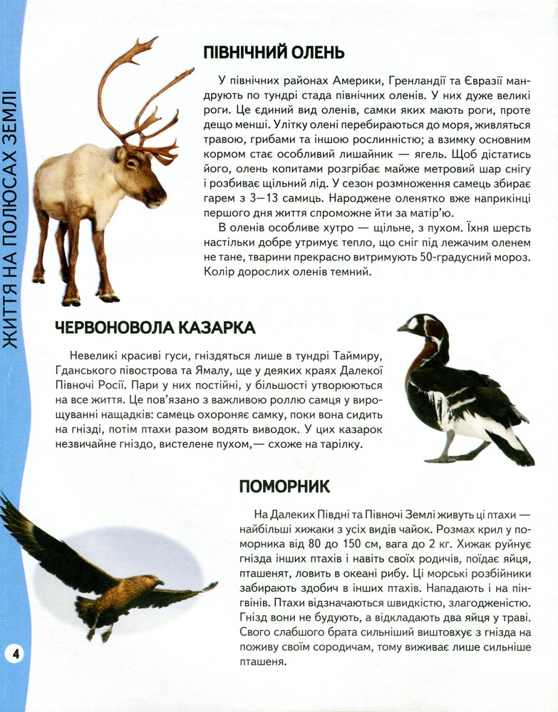 Енциклопедія тварин. Всезнайко. Фото 3