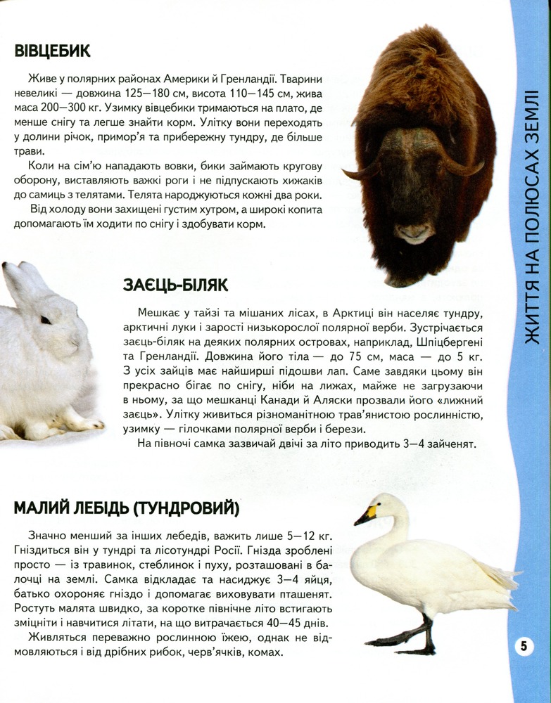 Енциклопедія тварин. Всезнайко. Фото 4