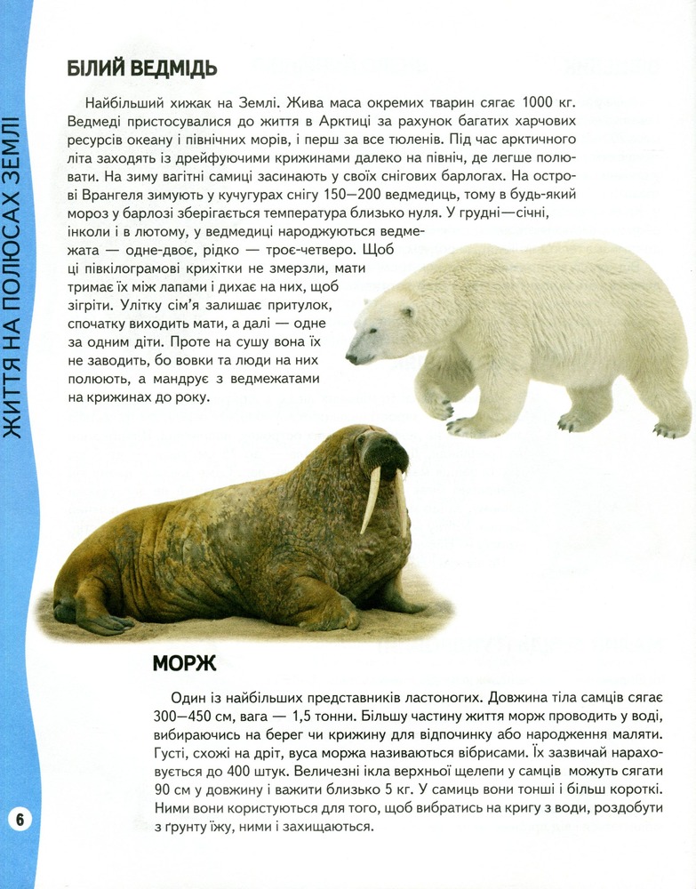 Енциклопедія тварин. Всезнайко. Фото 5