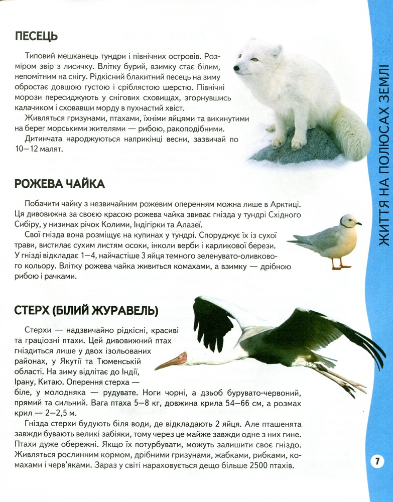 Енциклопедія тварин. Всезнайко. Фото 6