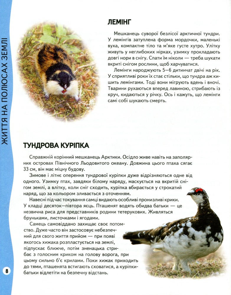 Енциклопедія тварин. Всезнайко. Фото 7