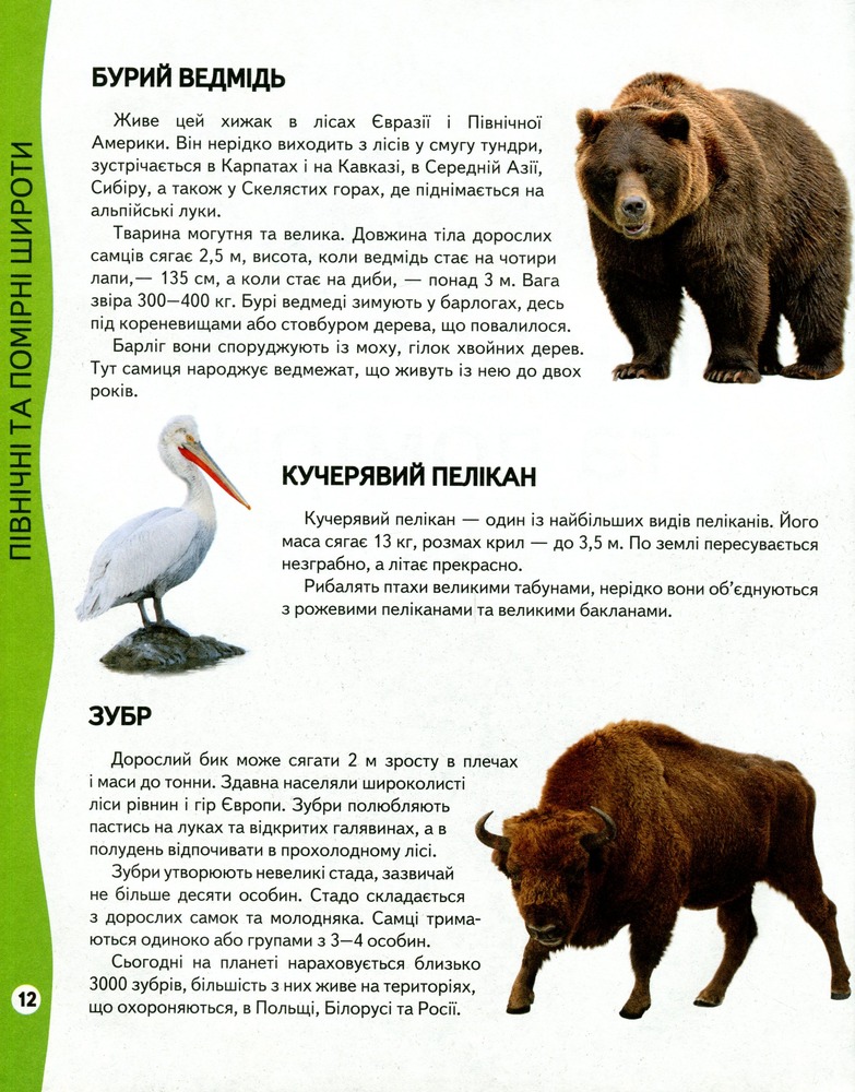 Енциклопедія тварин. Всезнайко. Фото 10