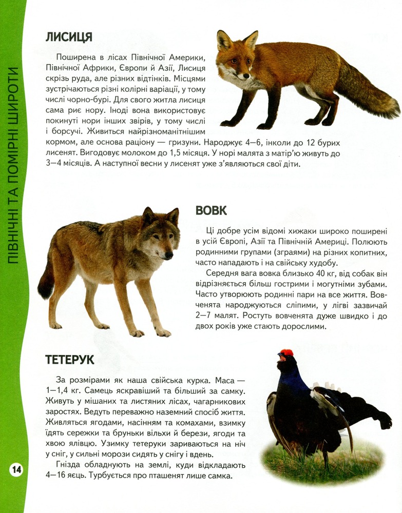 Енциклопедія тварин. Всезнайко. Фото 12