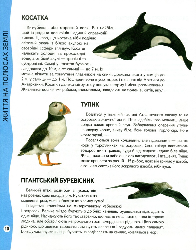Енциклопедія тварин. Всезнайко. Фото 9