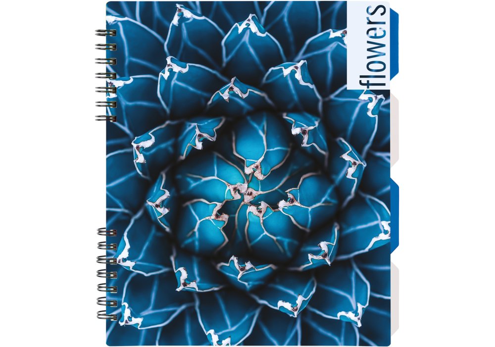 Блокнот Optima Flowers B5, пластикова обкладинка, з розділювачами, 120 аркушів, клітинка O20356-14