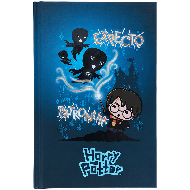 Книга записна Kite Harry Potter HP21-199-1, тверда обкладинка, А6, 80 аркушів, клітинка