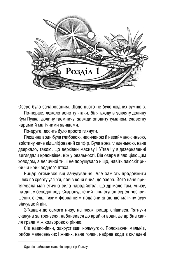 Книга Відьмак. Володарка Озера. Книга 7 - Анджей Сапковський. Фото 7