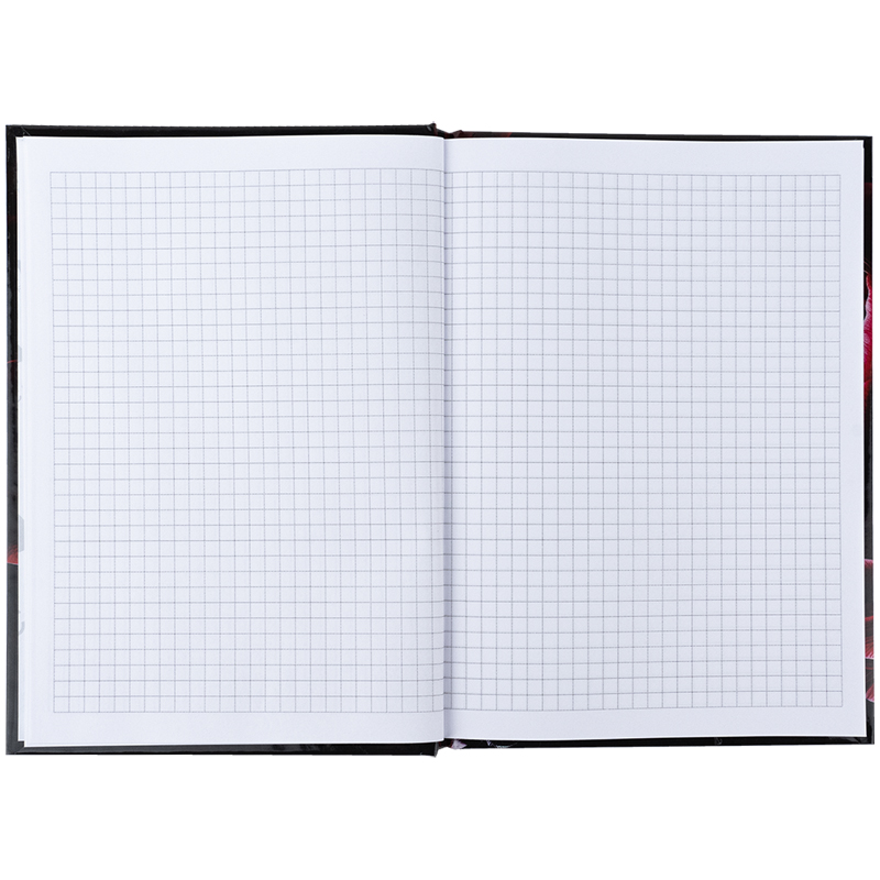 Книга записна Axent Maroon fleur 8459-1-A, А5, 96 аркушів, клітинка, тверда обкладинка. Фото 4