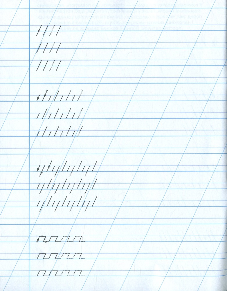 Книга Зошит-пропис. Готуємо руку до письма. Палички та гачечки. 44 Коти. Фото 3