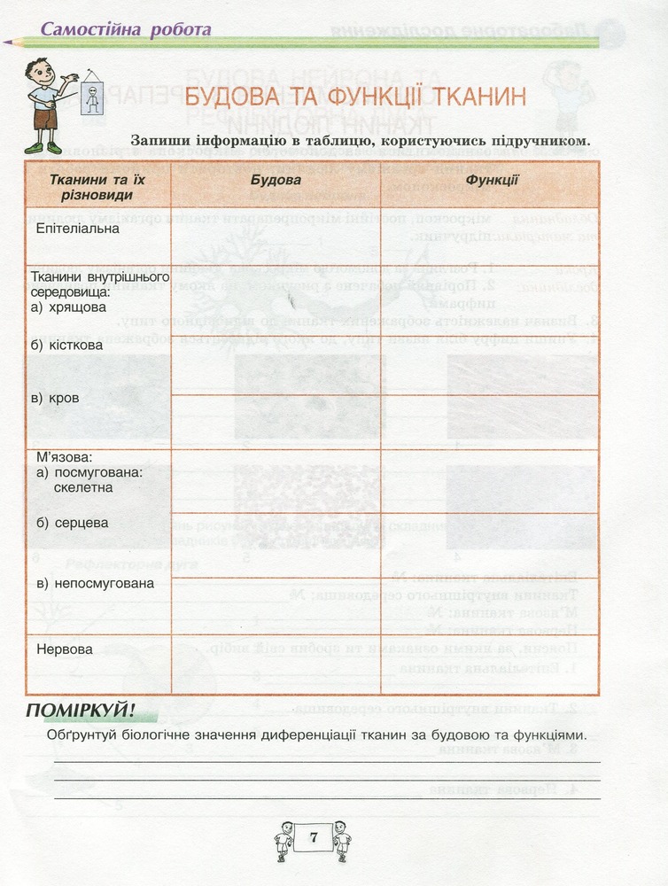 Школяр Робочий зошит з біології учня 8 класу О.А. Андерсон, М.А. Вихренко. Фото 9