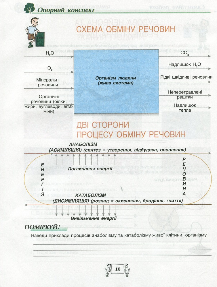 Школяр Робочий зошит з біології учня 8 класу О.А. Андерсон, М.А. Вихренко. Фото 12
