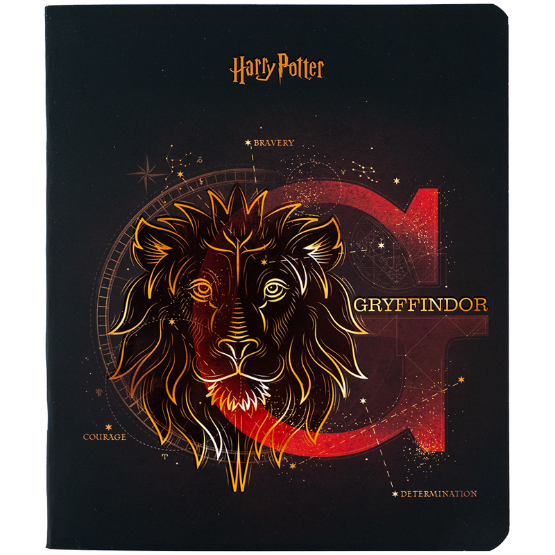Зошит шкільний Kite Harry Potter 48 аркушів, клітинка  HP24-259. Фото 3
