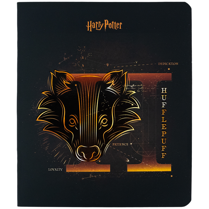 Зошит шкільний Kite Harry Potter 48 аркушів, клітинка  HP24-259. Фото 15