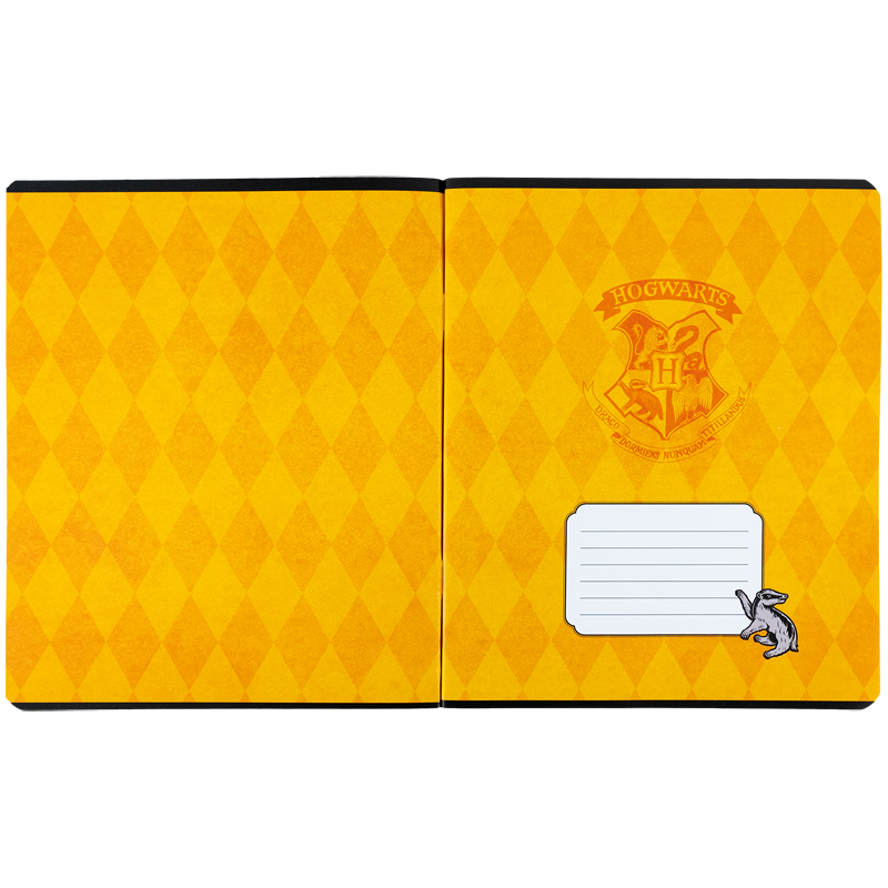 Зошит шкільний Kite Harry Potter 48 аркушів, клітинка  HP24-259. Фото 16