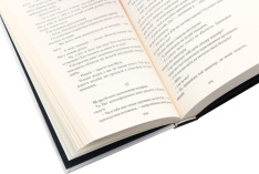 Книга Цвинтар для божевільних - Рей Бредбері. Фото 5