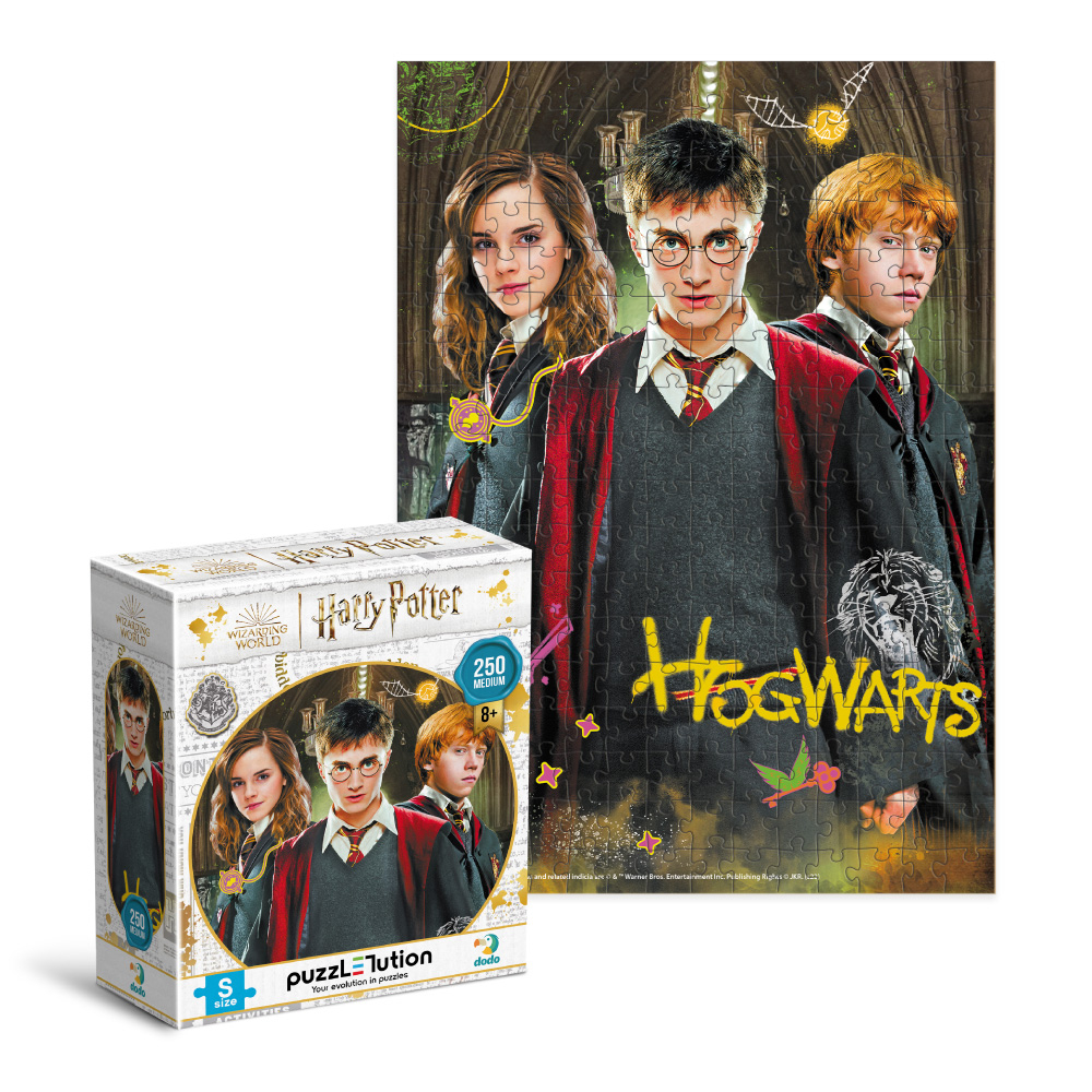 DoDo Пазл 250 елементів Medium-S - Harry Potter. Гаррі та друзі 200498. Фото 2