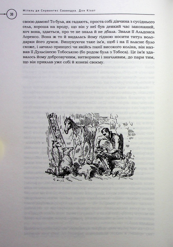 Книга Премудрий гідальґо Дон Кіхот з Ламанч - Міґель де Сервантес Сааведра. Фото 19